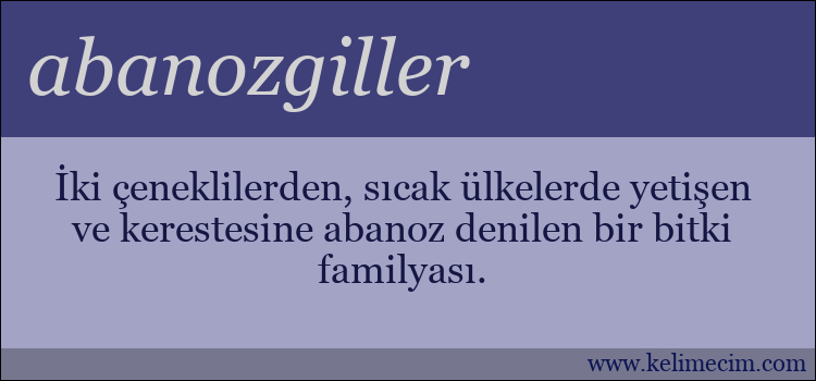 abanozgiller kelimesinin anlamı ne demek?