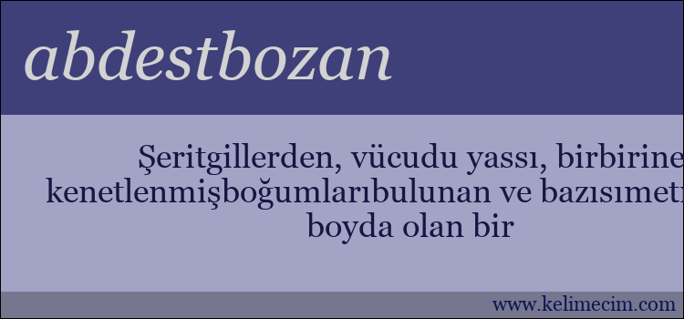 abdestbozan kelimesinin anlamı ne demek?