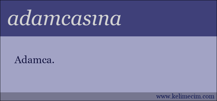 adamcasına kelimesinin anlamı ne demek?
