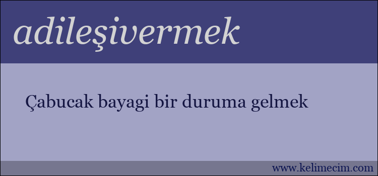 adileşivermek kelimesinin anlamı ne demek?