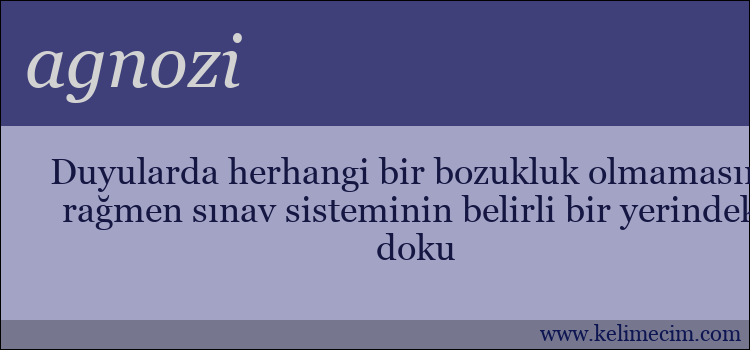 agnozi kelimesinin anlamı ne demek?