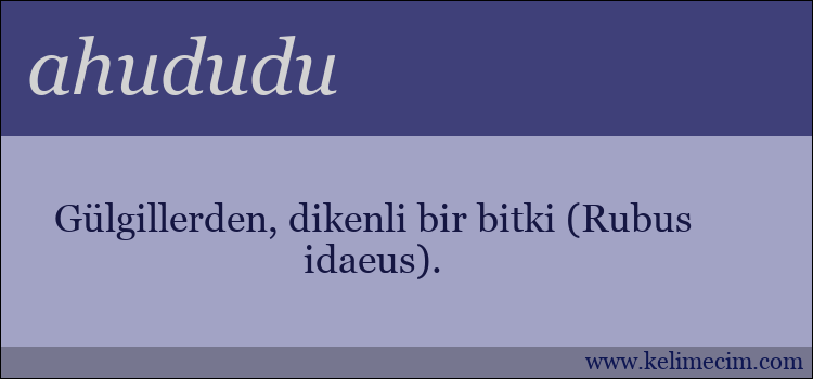 ahududu kelimesinin anlamı ne demek?