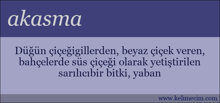 akasma kelimesinin anlamı ne demek?