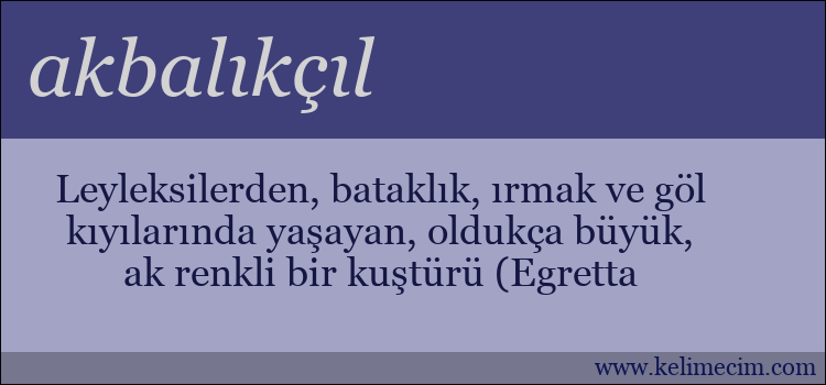 akbalıkçıl kelimesinin anlamı ne demek?