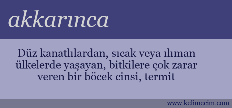 akkarınca kelimesinin anlamı ne demek?