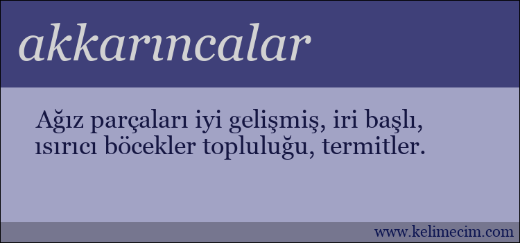 akkarıncalar kelimesinin anlamı ne demek?