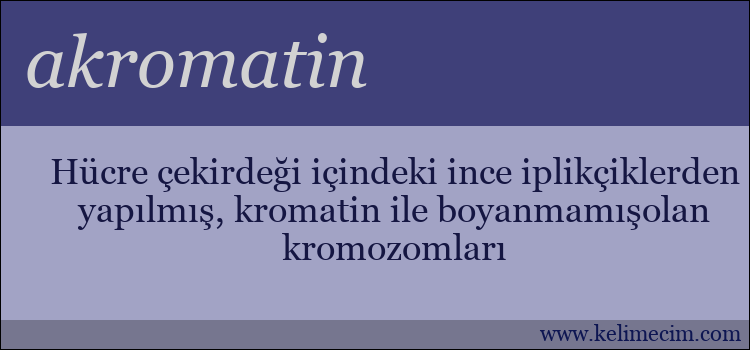 akromatin kelimesinin anlamı ne demek?