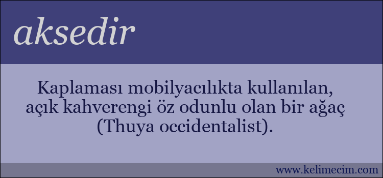 aksedir kelimesinin anlamı ne demek?