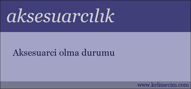 aksesuarcılık kelimesinin anlamı ne demek?