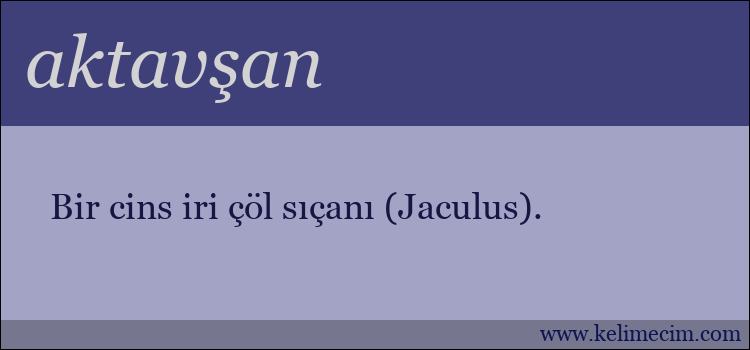 aktavşan kelimesinin anlamı ne demek?