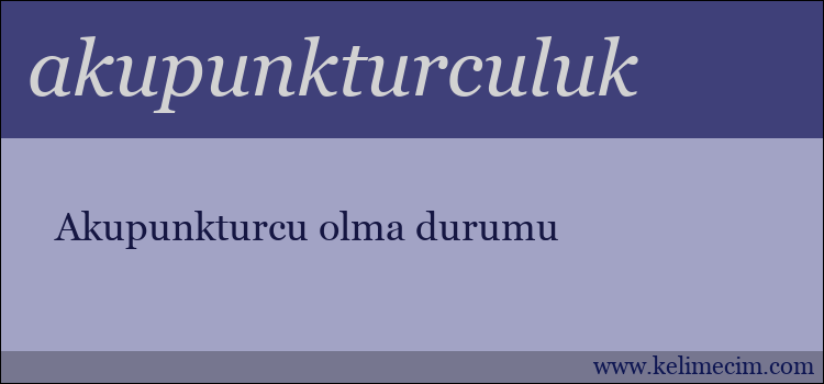 akupunkturculuk kelimesinin anlamı ne demek?