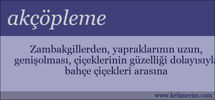 akçöpleme kelimesinin anlamı ne demek?