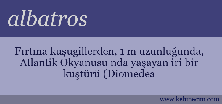 albatros kelimesinin anlamı ne demek?