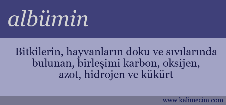 albümin kelimesinin anlamı ne demek?