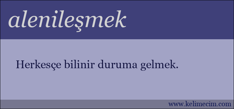 alenileşmek kelimesinin anlamı ne demek?