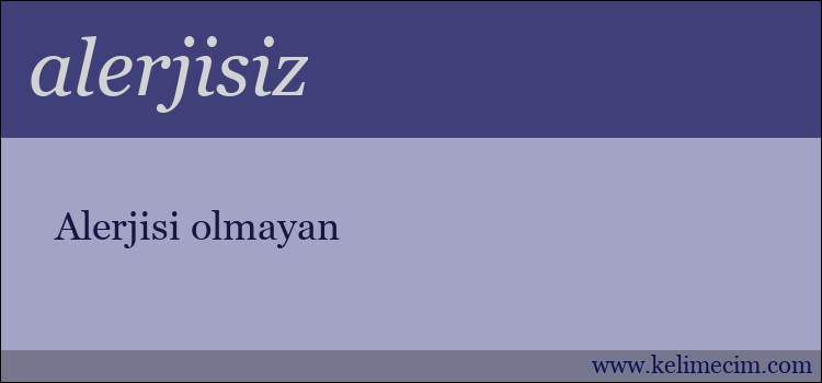 alerjisiz kelimesinin anlamı ne demek?