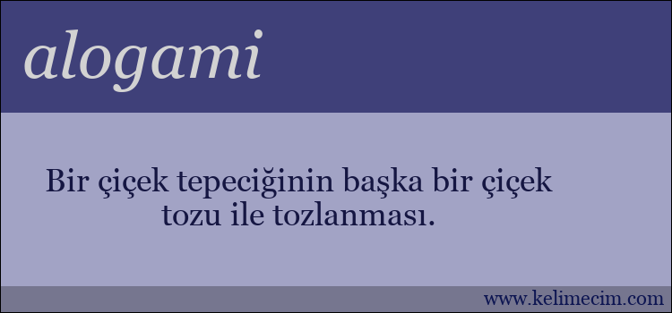 alogami kelimesinin anlamı ne demek?