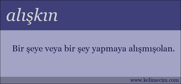 alışkın kelimesinin anlamı ne demek?