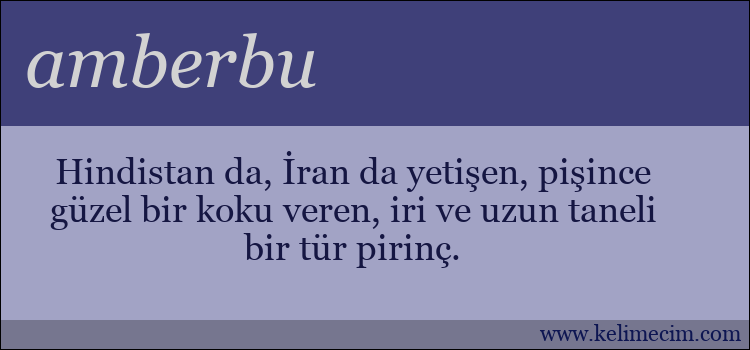 amberbu kelimesinin anlamı ne demek?