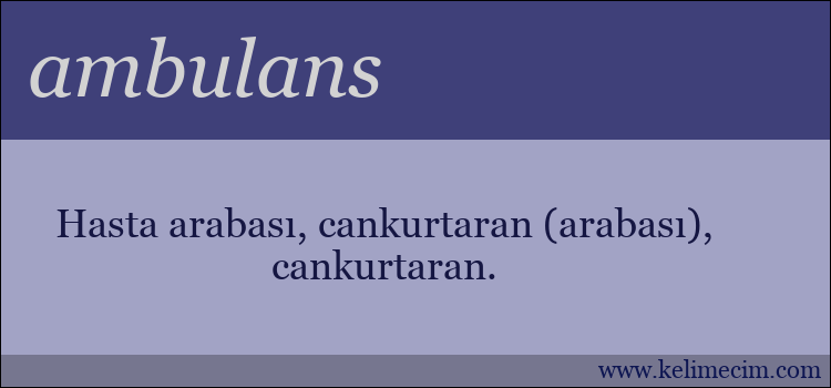 ambulans kelimesinin anlamı ne demek?