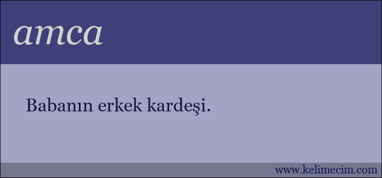 amca kelimesinin anlamı ne demek?