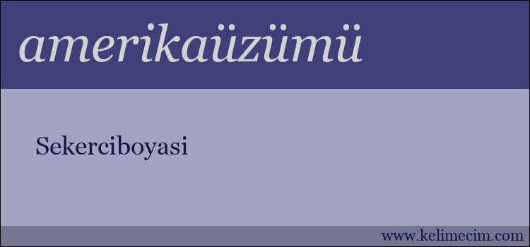 amerikaüzümü kelimesinin anlamı ne demek?