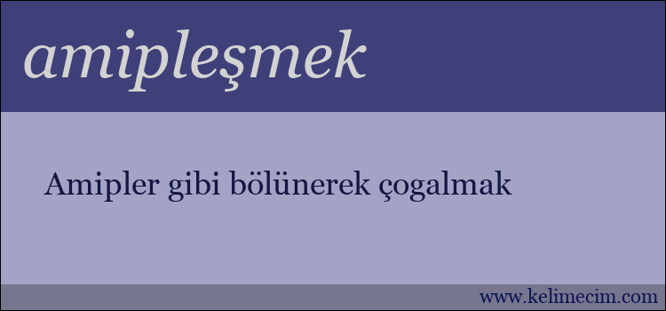 amipleşmek kelimesinin anlamı ne demek?