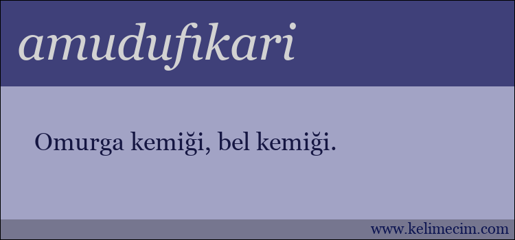 amudufıkari kelimesinin anlamı ne demek?