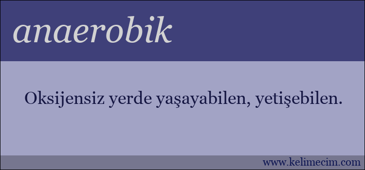 anaerobik kelimesinin anlamı ne demek?