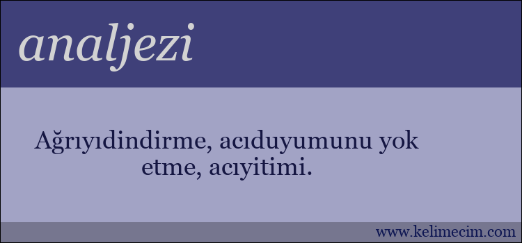 analjezi kelimesinin anlamı ne demek?