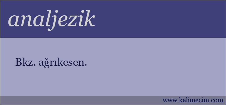 analjezik kelimesinin anlamı ne demek?