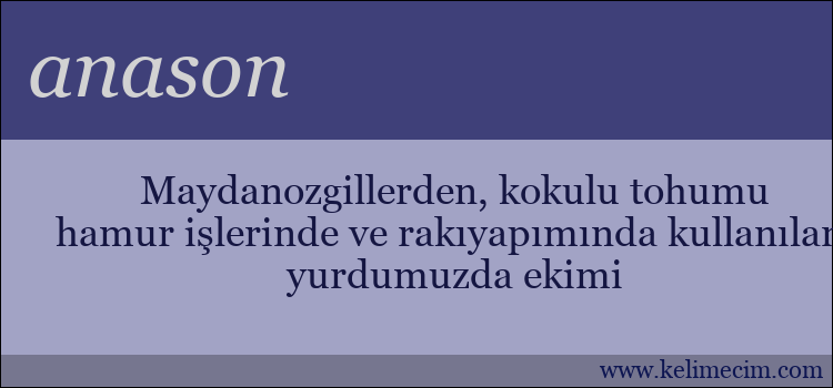 anason kelimesinin anlamı ne demek?