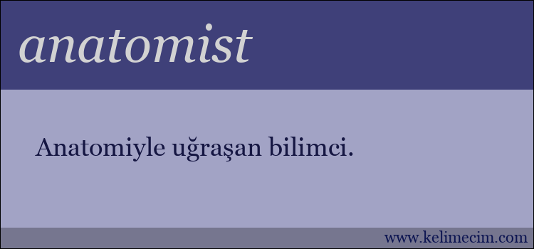 anatomist kelimesinin anlamı ne demek?