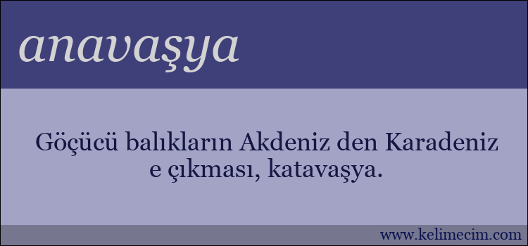 anavaşya kelimesinin anlamı ne demek?