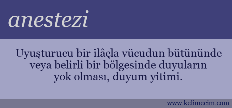 anestezi kelimesinin anlamı ne demek?