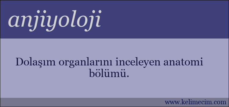 anjiyoloji kelimesinin anlamı ne demek?