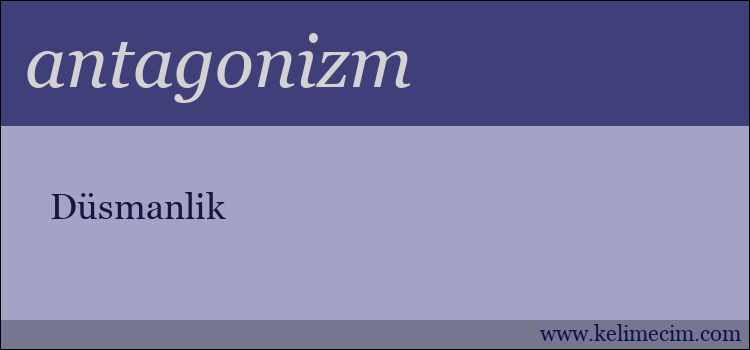 antagonizm kelimesinin anlamı ne demek?