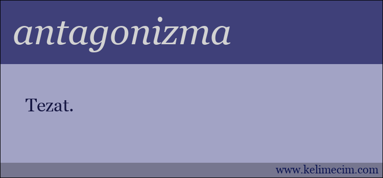 antagonizma kelimesinin anlamı ne demek?