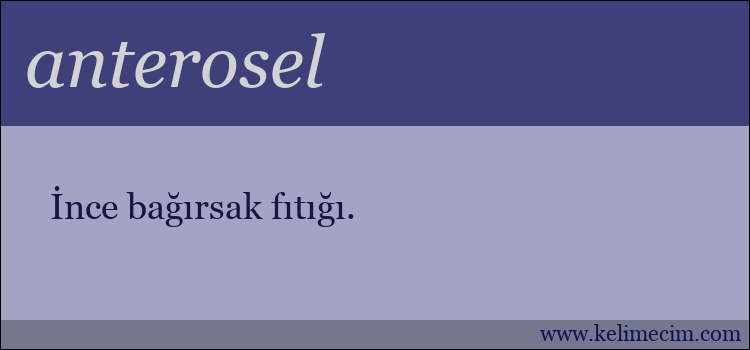 anterosel kelimesinin anlamı ne demek?