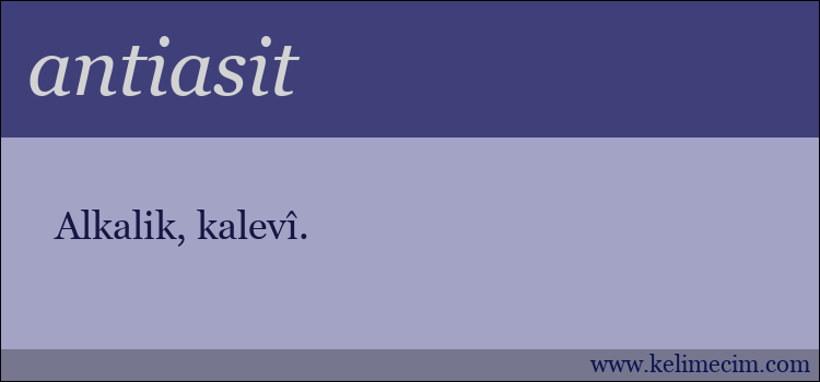 antiasit kelimesinin anlamı ne demek?