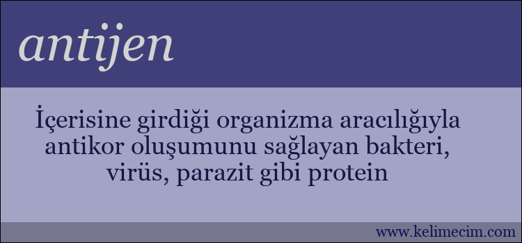 antijen kelimesinin anlamı ne demek?