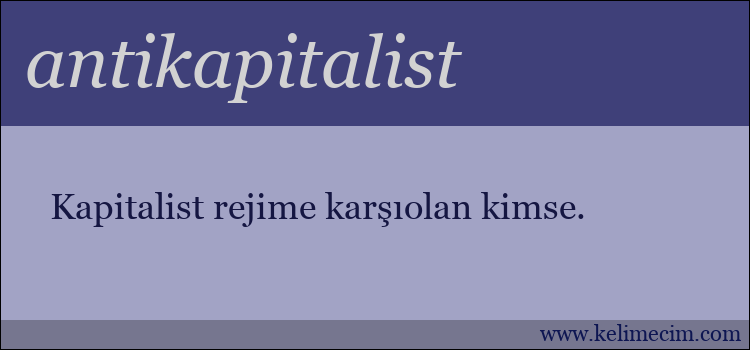 antikapitalist kelimesinin anlamı ne demek?