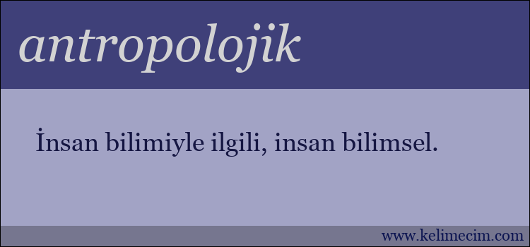 antropolojik kelimesinin anlamı ne demek?