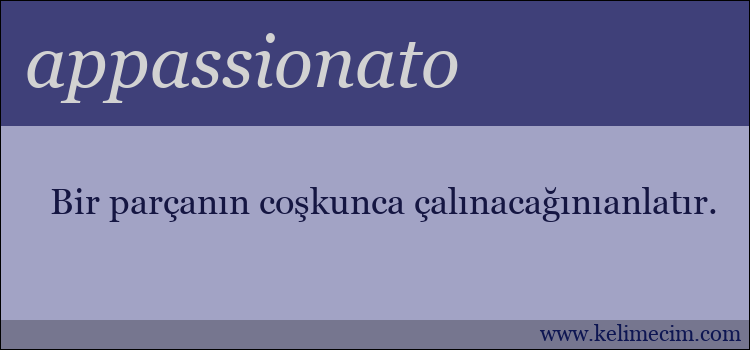 appassionato kelimesinin anlamı ne demek?