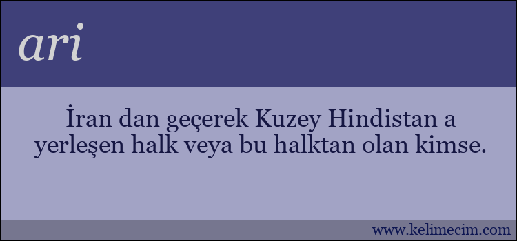 ari kelimesinin anlamı ne demek?