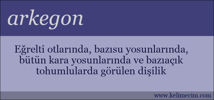 arkegon kelimesinin anlamı ne demek?