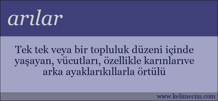 arılar kelimesinin anlamı ne demek?