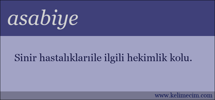 asabiye kelimesinin anlamı ne demek?