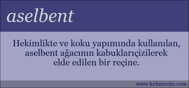 aselbent kelimesinin anlamı ne demek?