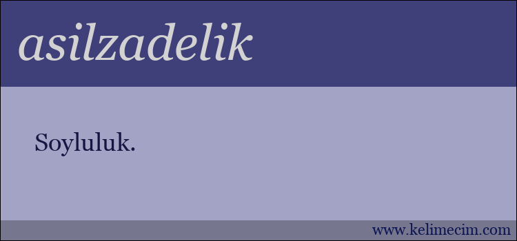 asilzadelik kelimesinin anlamı ne demek?